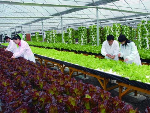 邁世努力促進(jìn)智慧農(nóng)業(yè)，實(shí)現(xiàn)新業(yè)態(tài)