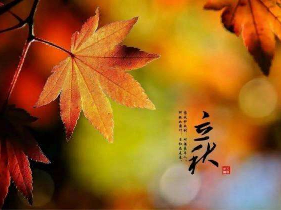 秋來了，莫慌！智慧主機依舊值得推薦的